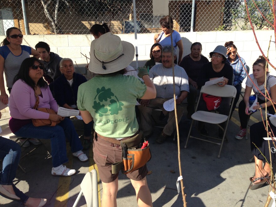 Linda Eremita, from the nonprofit Tree People, gave a workshop on tree maintenance.