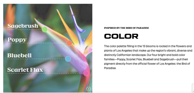 A color photo of the Bird of Paradise flower, which has orange, purple and pinks in it, forms the background of a photo which also has the words Sagebrush, Poppy, Bluebell and Scarlet Flax