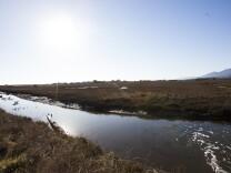 One of the many winding channels of the Carpinteria Salt Marsh Reserve.