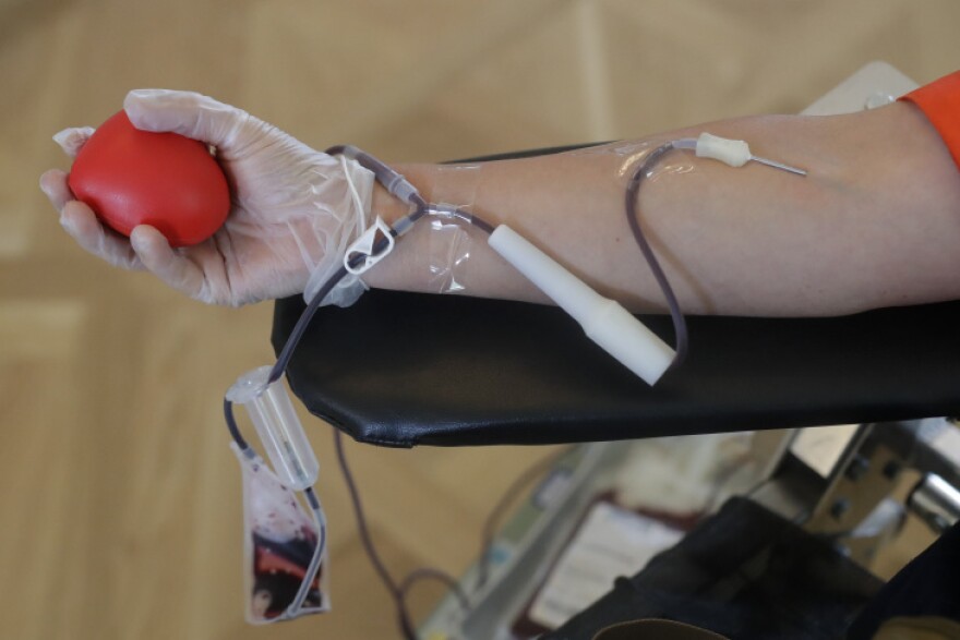 a forearm with a needle inserted into the vein. the hand is wearing a latex glove and holding a squishy red ball