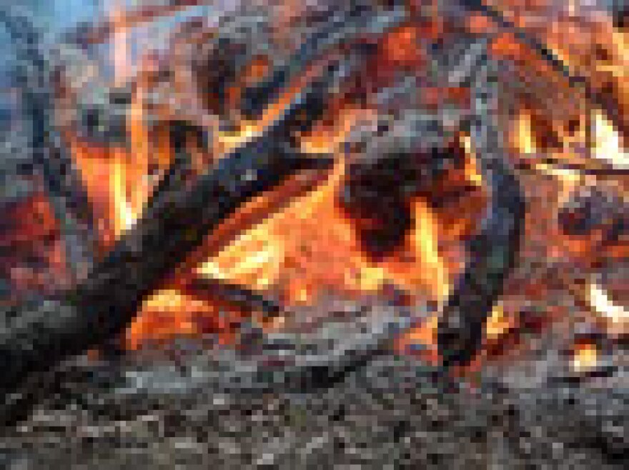 body-found-angeles-national-forest.jpg