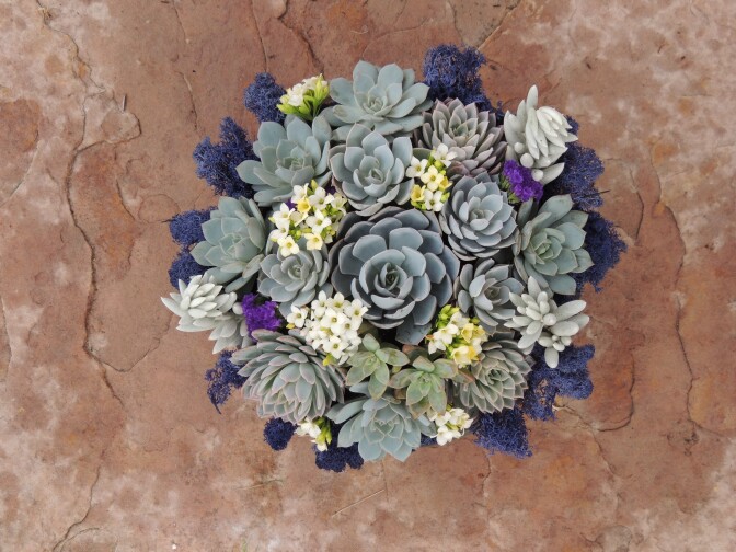 A succulent arrangement from Succulently Urban, the San Diego-based business created by Marialuisa Kaprielian.