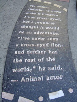 5b2c02874488b3000926e1c4-original.jpg
