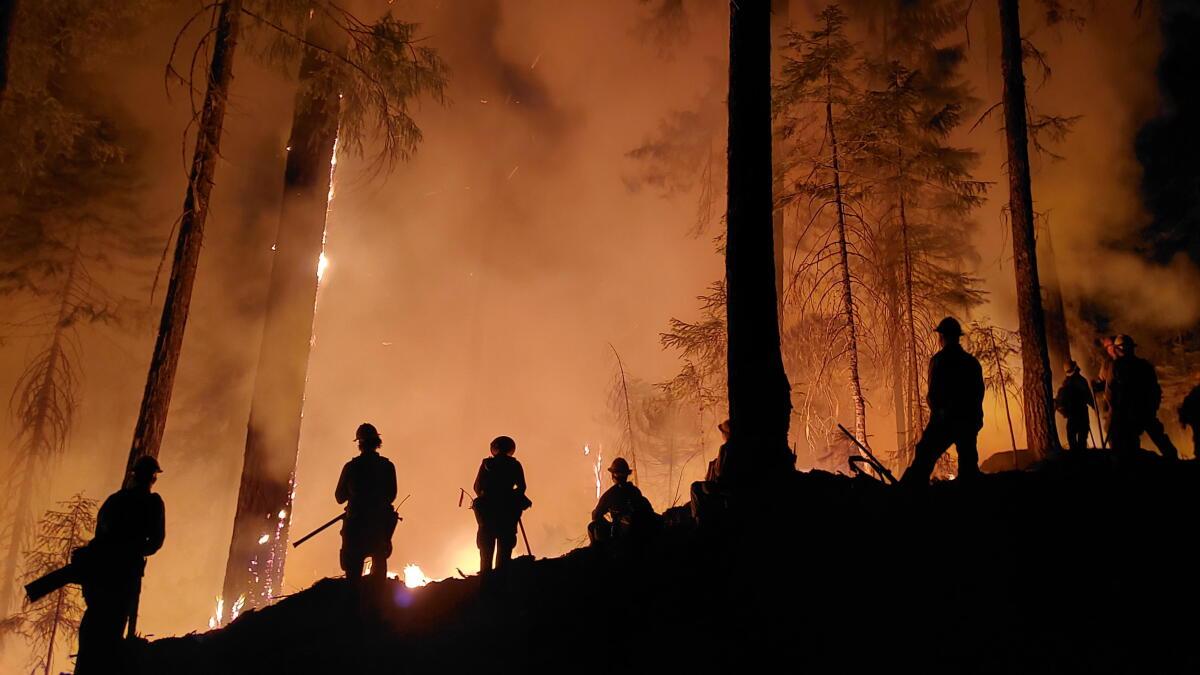 With Lightning On Its Way, Is It Time To Start Worrying About Big Fires? - Vimarsana News
