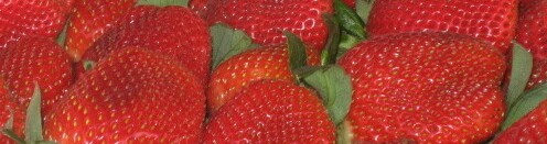 5b2bfeb34488b3000926dbe6-original.jpg