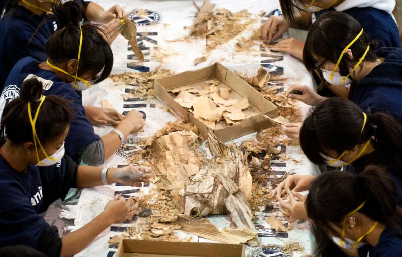 Qi Yang, left, and her classmates from Shore High School volunteer with Kiwanis International to pull apart pieces of bark for a float.