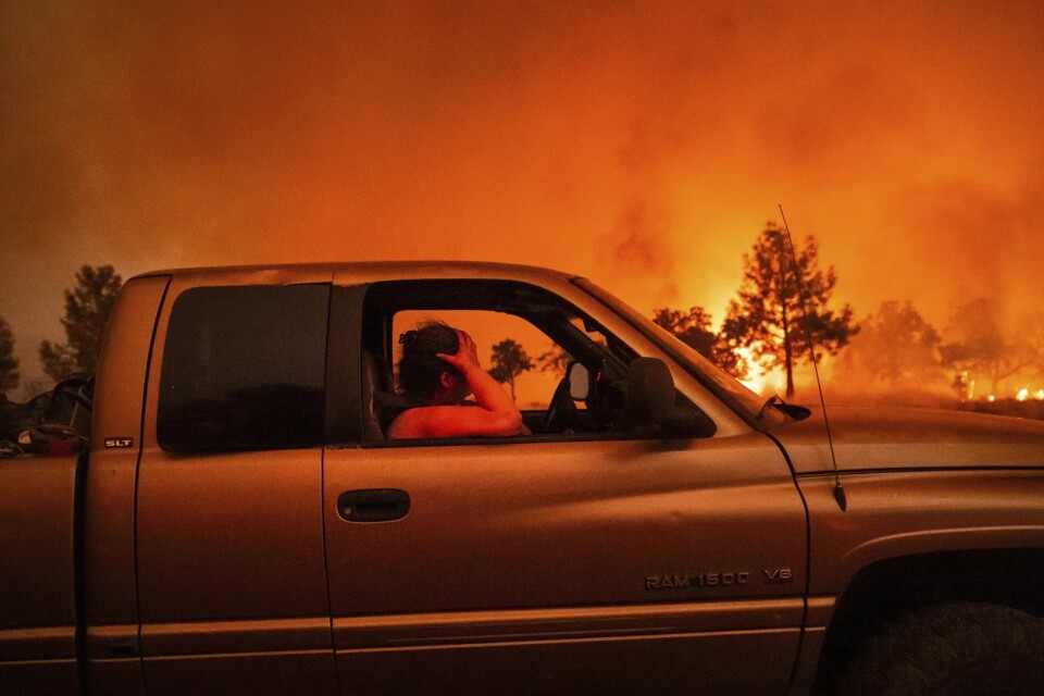 A person can be seen sitting in their truck with the air around them filled with smoke and flames from the encroaching fire 