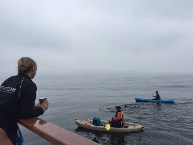Natalie Radtke looks on from the support boat as Kerry Yonushonis swims across the Catalina Channel. Radtke is doing her own solo Catalina Channel swim Tuesday night.
