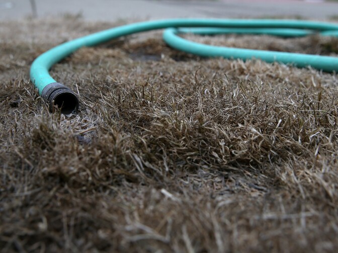 A hose sits on a dead lawn in front of a house on July 15, 2014 in San Francisco, California. As the California drought continues to worsen and voluntary conservation is falling well below the suggested 20 percent, the California Water Resources Control Board is considering a $500 per day fine for residents who waste water on landscaping, hosing down sidewalks and car washing.  (Photo by Justin Sullivan/Getty Images)