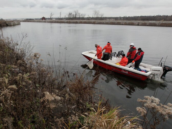 Crews search for Asian carp Thursday in the Chicago Sanitary and Ship Canal in Lockport, Ill., after a toxic chemical was dumped on a nearly 6-mile stretch of the canal in an effort to keep the voracious and invasive carp from reaching the Great Lakes.