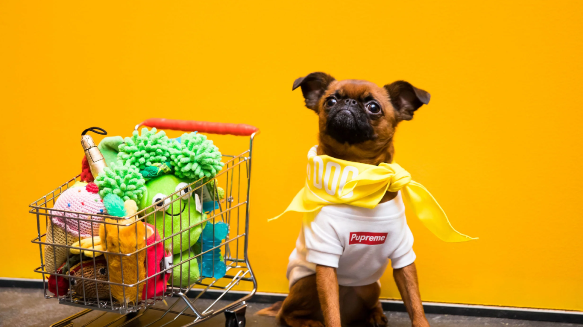 Best things to do this weekend in Los Angeles and Southern California: October 3-5