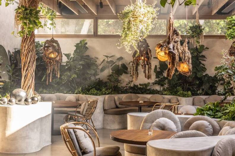 The image is a picture taken of the inside restaurant Meteroa. It's empty and showcases the cozy feeling/setting of tables and chairs and an array of plants, giving the restaurant a very relaxed environment. There's also a beam of light shinning through the upper right side of the image, which gives the inside a bit more pop.