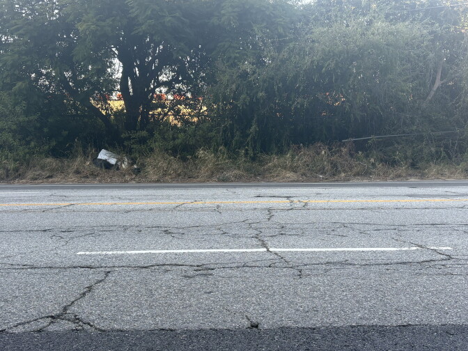 A cracked, empty road runs alongside a dense tree line with trash dumped on the roadside.