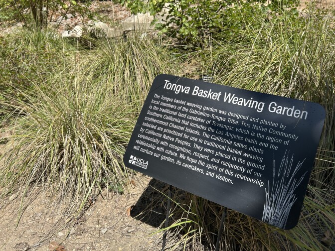 Low grass plants next to a sign that says Tongva Basket Weaving Garden