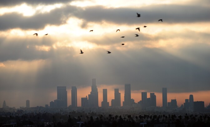 Birds fly across the sky at daybreak over the downtown Los Angeles skyline on December 14, 2011. According to the state's Air Resources Board earlier this month, California has the worst air quality in the country, with 40 percent of pollution contributed by passenger cars and light-duty trucks. AFP PHOTO / Frederic J. BROWN (Photo credit should read FREDERIC J. BROWN/AFP/Getty Images)