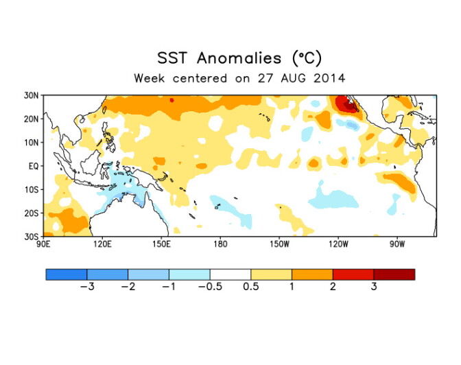 Forecasts that an El Niño will develop by winter have fallen to 60-65 percent, according to federal climate scientists.