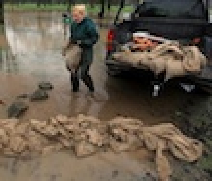 santa-monica-sandbags.jpg