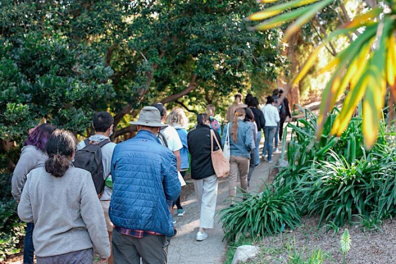 A group of people take a walk through the UCLA botanical garden. They're surrounded by bushes and trees on a sunny day.