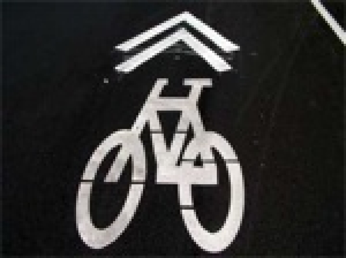 sharrow-proejct.jpg