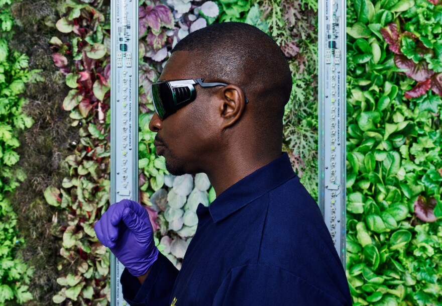 The Vertical Farm
