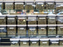 Kushmart, one of the largest medical dispensaries in downtown Los Angeles, currently has 55 strains of marijuana. In November, California voters could decide to make recreational marijuana use legal.