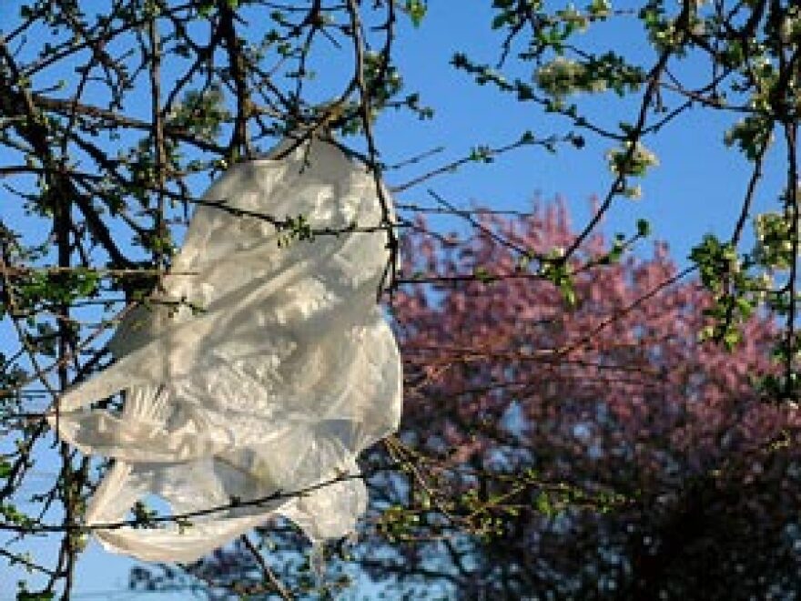 PlasticBag_tree.jpg