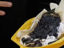At a morning press conference on Thursday, June 4, 2015, officials displayed samples of a petroleum product that began washing ashore the day before in Long Beach.