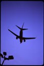 5b2baac14488b30009267c69-original.jpg