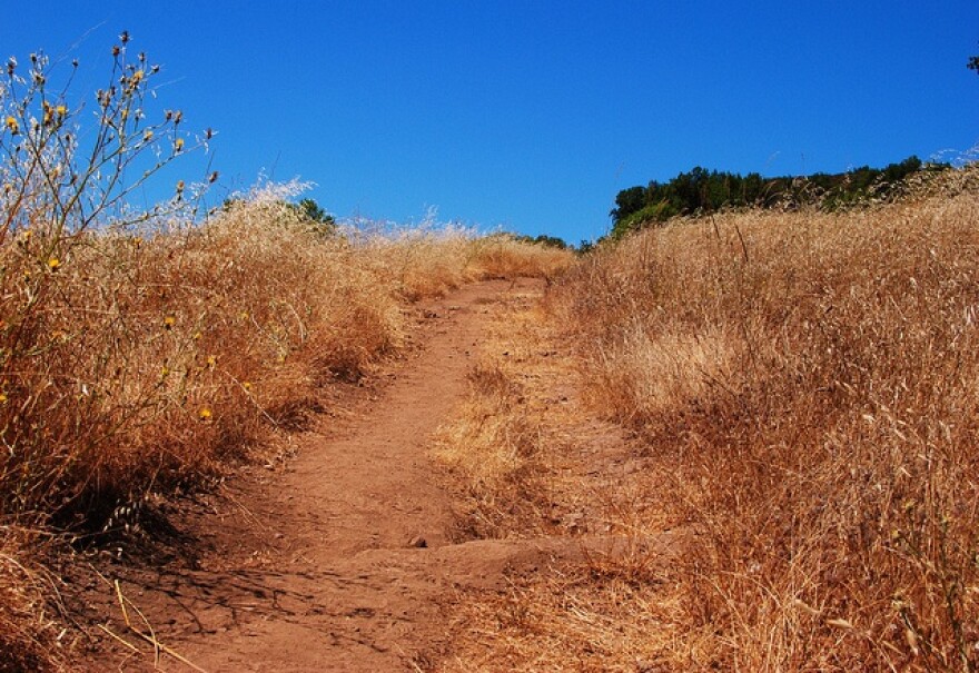 hiking_trail.jpg