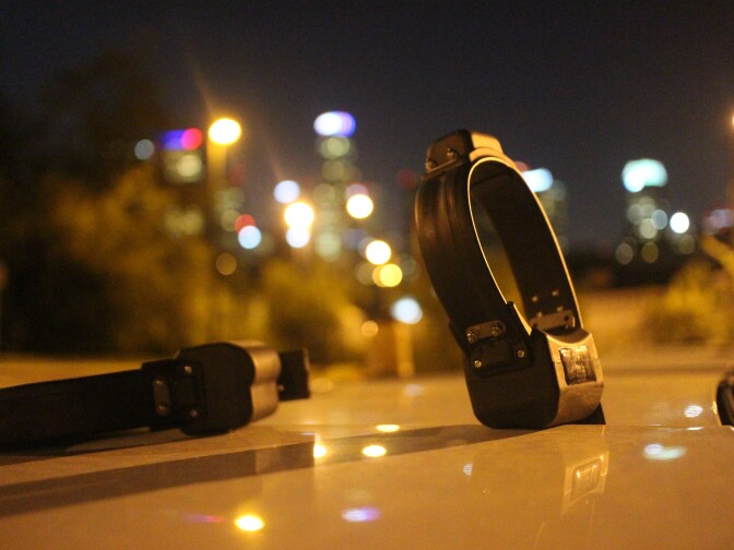 The National Park Service has enough GPS collars to track three urban coyotes in Los Angeles. 