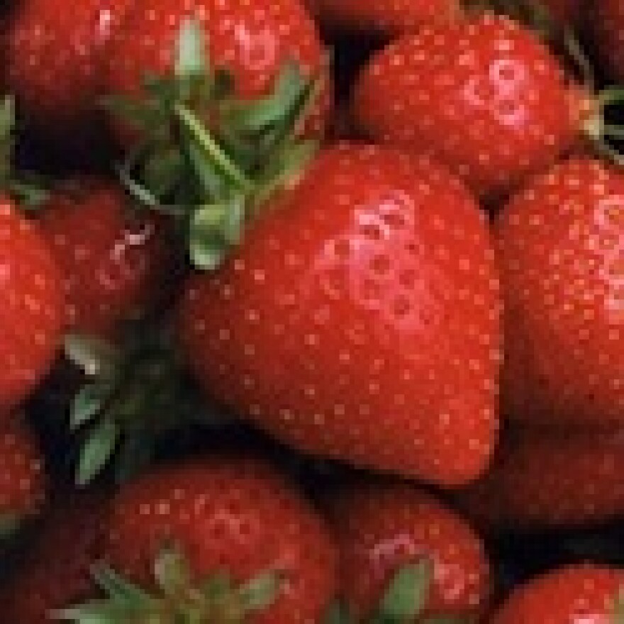 strawberry-organic-win.jpg