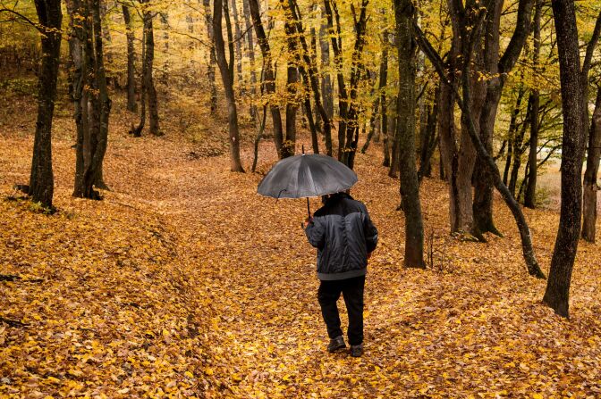 A man, holding an umbrella, walks through the park, covered of fallen yellow leaves, near Pristina, Kosovo on October 23, 2017.