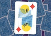 Upturned playing card showing a figure looking beyond a brick wall. The mirror image of the brick wall shows the Magic Castle, as if it's being boarded up by the brick wall.