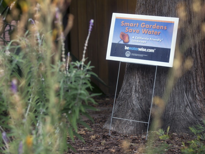 The turf outside this Pasadena home was transformed into a drought-friendly yard using the Metropolitan Water District's Cash for Grass program in October 2014. The $450 million water conservation program has now ran out of money.