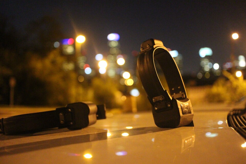 The National Park Service has enough GPS collars to track three urban coyotes in Los Angeles. 