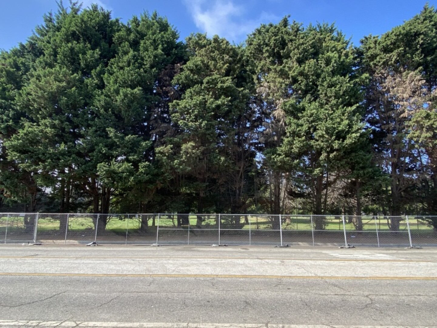 5fbc2ad6bef47b00088994c3-eight.jpg