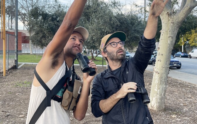 Two people in a park with hats and binoculars point up toward the sky to something off camera.
