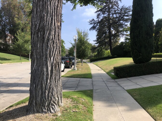 A peaceful, tree-lined street flanked by sloping green lawns.