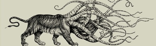 5b2bfe7a4488b3000926db8a-original.jpg