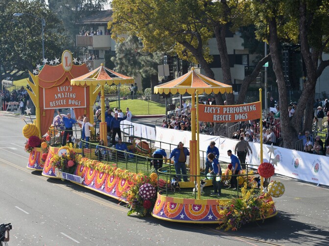 PASADENA, CA - JANUARY 01:  The Lucy Pet Foundation, Inc. float attends the 125th Tournament of Roses Parade Presented by Honda on January 1, 2014 in Pasadena, California.  (Photo by Alberto E. Rodriguez/Getty Images)