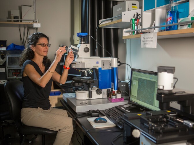 Dianne Newman, 2016 MacArthur Fellow, Caltech, Pasadena, CA, 09.08.2016