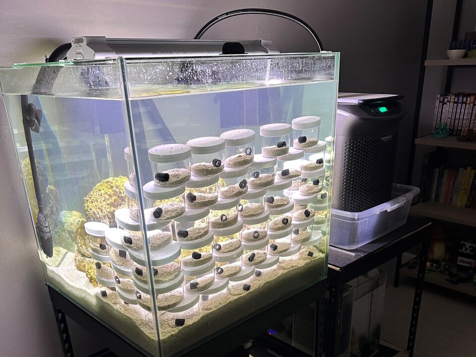 Terrance's family has grown considerably.