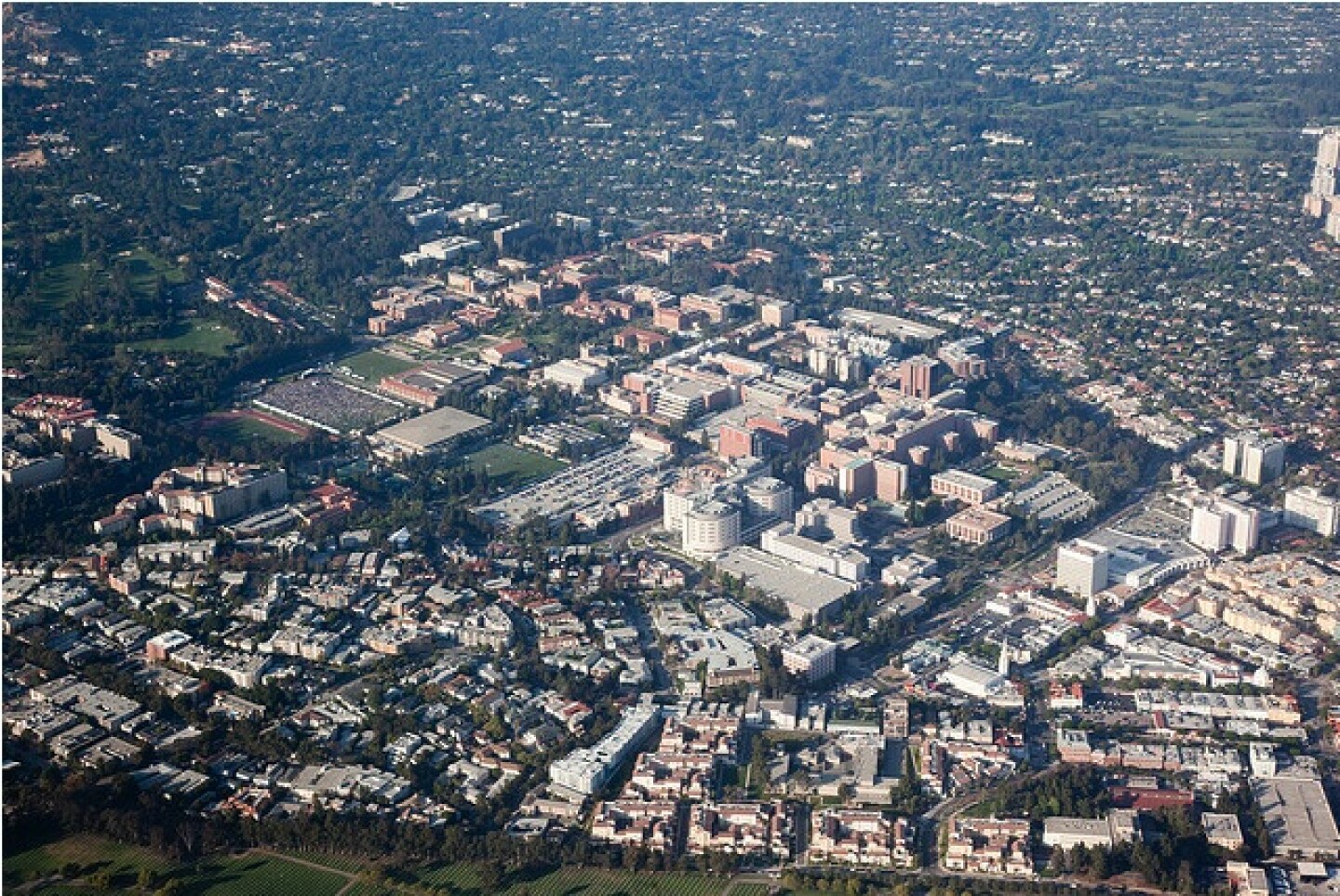 ucla_campus.jpg
