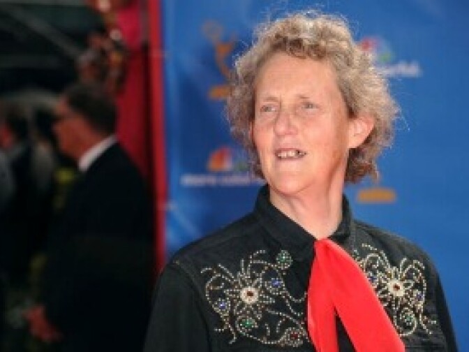 Doctor of Animal Science Temple Grandin arrives at the 62nd Annual Primetime Emmy Awards held at the Nokia Theatre L.A. Live on August 29, 2010 in Los Angeles, California.