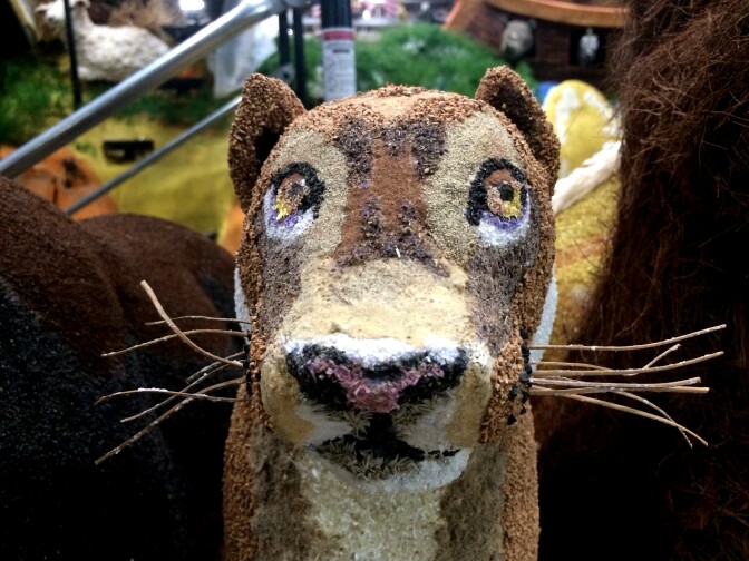 All parts of the floats need to be covered in organic materials, including the animals.