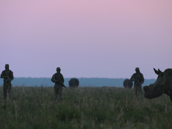 An armed private security team patrols amongst some of John Hume's 1500 rhinos in Buffalo Dream Ranch, North West Province, South Africa in 2016.