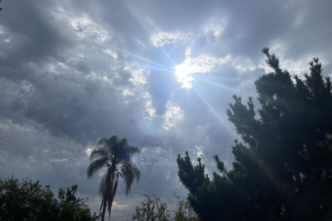 Gray clouds dominate the sky, with the sun's rays breaking through. A palm tree and other foliage are seen in silhouette.