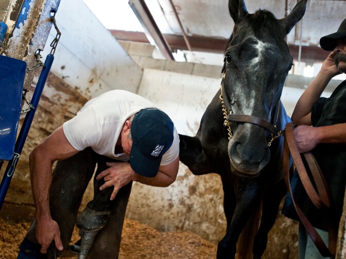Farrier and horseshoer Wesley Champagne files down a horseshoe on Top Knot, hours before a race.