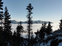 Mt. Baldy, Angeles National Forest. 