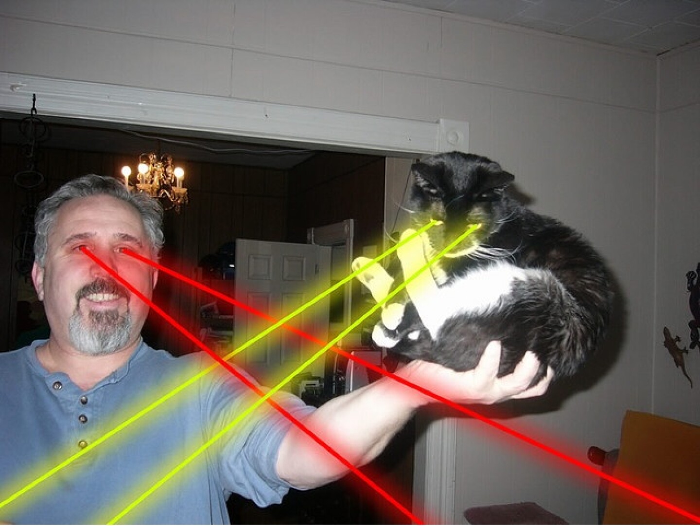 laser-man-cat.jpg